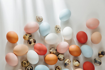 Natural Colored brown, quail and white Eggs with sunlights. Compositions in pastel colors. Easter consept.  Flat lay, top view .