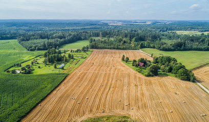 Beautiful green nature landscape of Europe