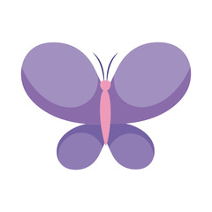 cute butterfly insect flat style icon vector design