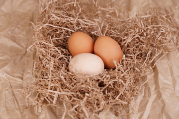 Village eggs. Kraft paper background