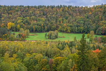 Beautiful green nature landscape of Europe