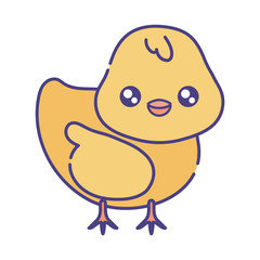Cute kawaii chick cartoon vector design