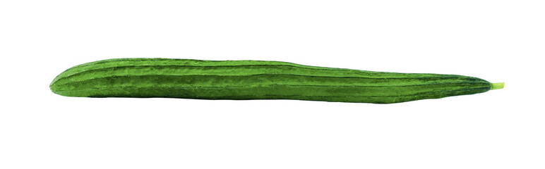 fresh green angled loofah or aculangula vegetable long size shape. Isolated on white background with clipping path.