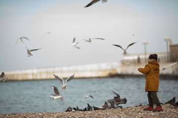 Baby boy on a walk on the beach feeding birds. Concept: holidays, home schooling.