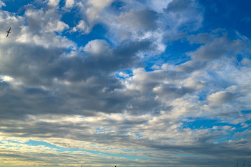 Fototapeta premium Blue Sky Clouds Pattern Background