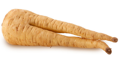 Parsnip root