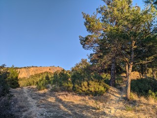 autumn in the park,nature,sky