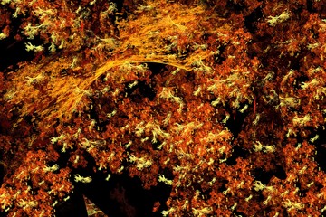 Mysterious universe fractal colorful pattern. Abstract background, theme fractal shapes, lines, and rays. Suitable for wallpapers and posters, web, cards, etc.