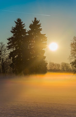Beautiful green nature landscape of Europe