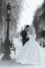 The bride and groom walk together in the park. Charming bride in a white dress, the groom is dressed in a dark elegant suit