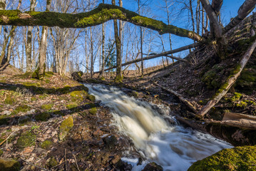 Obraz premium Beautiful green nature landscape of Europe