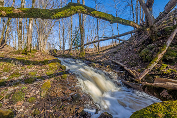 Beautiful green nature landscape of Europe