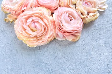 Beautiful pink ranunculus flowers with soft focus on tender petals on neutral background. Seasonal spring flowers. pink flower border on gray cement backdrop. Flowers border 