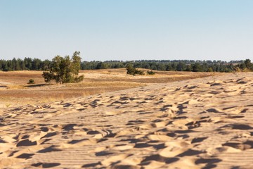 Desert sand landscape, dune nature dry,  travel.