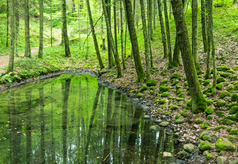 Obraz premium Beautiful green nature landscape of Europe