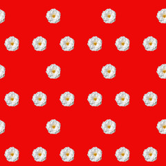 Colorful pattern with white roses on a red background