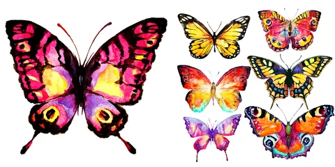 Fotobehang beautiful color butterflies, set, watercolor,  isolated  on a white © aboard