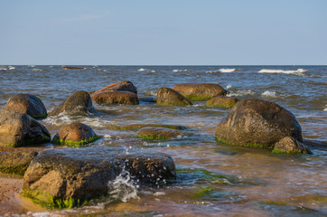 Beautiful green nature landscape of Europe