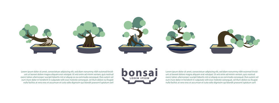 Bonsai trees and bonsai pots set. Vector Flat Icons with Bonsai Styles.