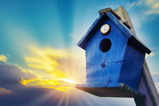 Blue Bird House In Front Of Blue Cloudy Sky