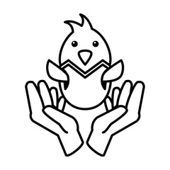 chicken with eggshell on white background
