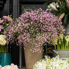 variety of colors near the Liberty store in London. Large bouquets in tin vases.