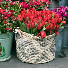 variety of colors near the Liberty store in London. Large bouquets in tin vases.