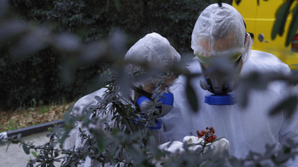 people in protective suits and respirators study plants in nature