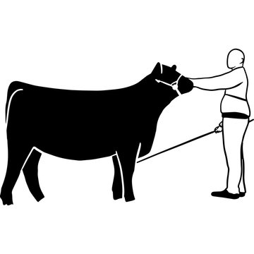 recommend clip art: Hand drawn Cattle Show  Vector Sketch