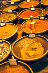 Colourful various herbs and spices for cooking