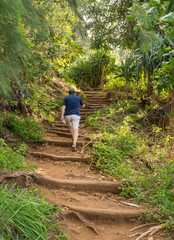 Naklejka na ściany i meble Senior hiker walsk up the steep Kalalau trail from Ke'e Beach on north coast of Kauai