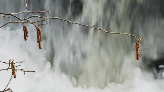 Torrente in piena