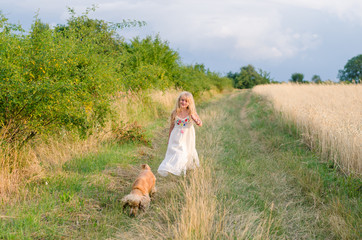 child and dog walking together among golden summer fields