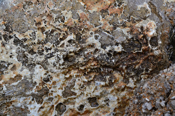 Background of an old stone on the beach.Texture.
