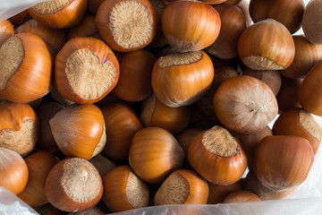 Hazelnut. Fresh organic hazelnut. selective focus
