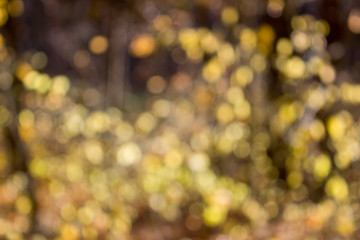 Bokeh Background. Blurred colorful light, yellow, red, pink, white in soft orange fading tone