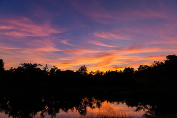 Siluate landscap and twlight in park