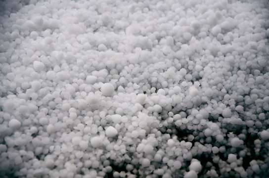 Grelons en hiver , grosses boules