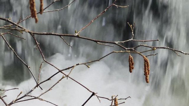 Torrente in piena