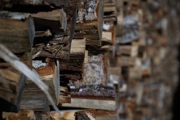 pile of dry birch firewood