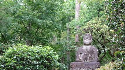 Buda forest