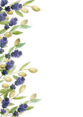 Obraz premium Watercolor hand painted nature provence floral vertical banner line with purple blossom lavender flowers and olive on branches with green leaves on the white background for invite and greeting cards