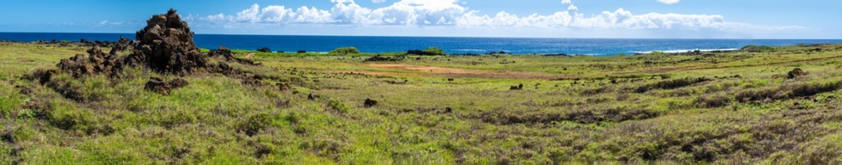 Panoramic view of green sand beach trail along the coastline in Big Island Hawaii