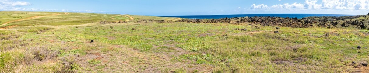 Panoramic View Green Sand Beach