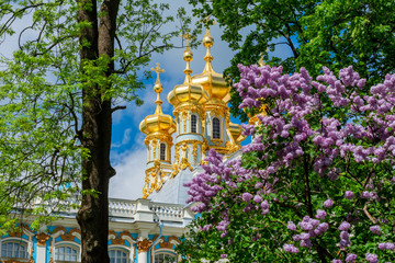 Resurrection church dome of Catherine palace in Pushkin (Tsarskoe Selo) in spring, St. Petersburg,...