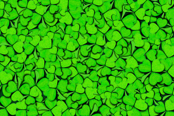 Pattern of green clovers or shamrocks on green background. St. Patrick's Day Holiday concept....