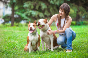 Front view of beautiful young woman with two pit bulls squatting on the road. Smiling pretty girl spending time with four legged friends in park. Concept of relationship between animals and human.