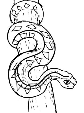 Vector, sketch image of anaconda