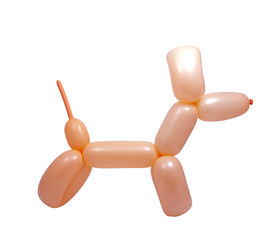 balloon model of dog isolated on the white