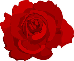 Red Rose, Simple Icon With Transparent Background